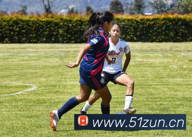 milan登录入口APP 封面图